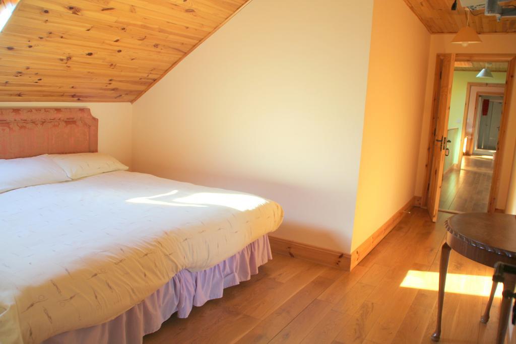 Woodview House Bed And Breakfast 발린로브 객실 사진